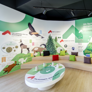 Les animaux de nos montagnes